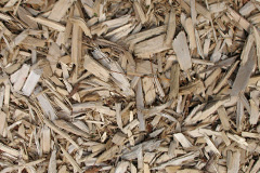 biomass boilers Fen Side